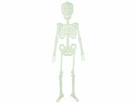 infactory Halloween Skelett, Halloween Deko Skelett; Halloween-Dekorationen Glow-in-the-Dark Halloween-Dekorationen Glow-in-the-Dark Halloween-Dekorationen Glow-in-the-Dark Halloween-Dekorationen Glow-in-the-Dark Halloween-Dekorationen Glow-in-the-Dark 